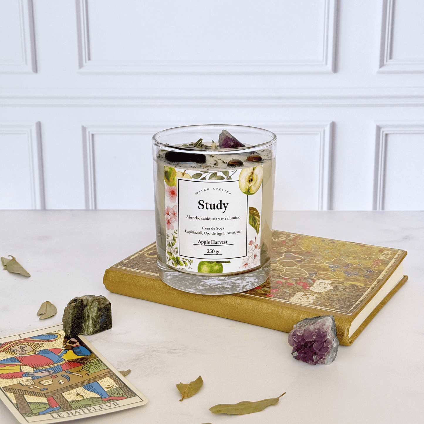 Study